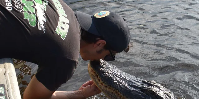 New Orleans Airboat Swamp Tour - Image 3