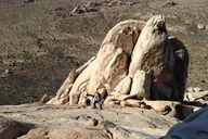 Joshua Tree Rock Climbing Tour 8 Hours thumbnail 1