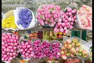 NYC Flower District Walking Tour thumbnail 5