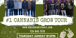 Denver Cannabis Grow Tour and Brewery Visit