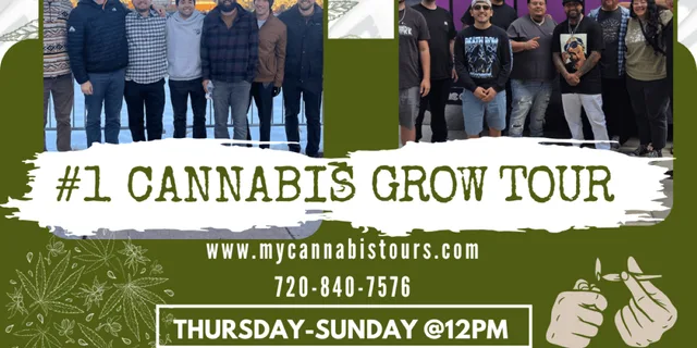 Denver Cannabis Grow Tour and Brewery Visit - Image 1