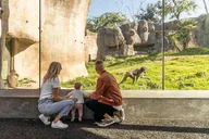 San Diego Explorer Pass thumbnail 3