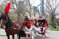 New York Horse Carriage Ride with Tavern on the Green thumbnail 3