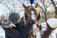 New York City Central Park Horse Carriage Ride 55 min thumbnail 4