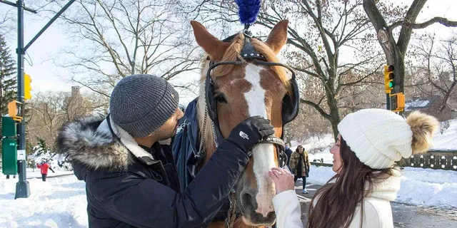 New York City Central Park Horse Carriage Ride 55 min - Image 4