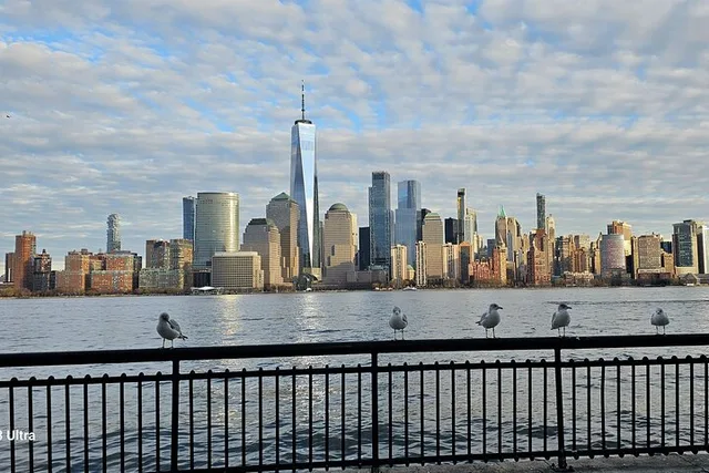 New York Skyline Tour with Local Guide - Image 6