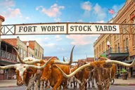 Fort Worth Heritage and Landmarks Open-Air Tour 3 hr thumbnail 1