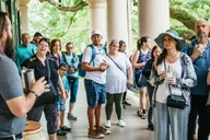 New Orleans Oak Alley Plantation and Swamp Tour thumbnail 5