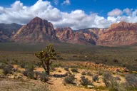 Las Vegas Red Rock Canyon and Seven Magic Mountains Tour thumbnail 2