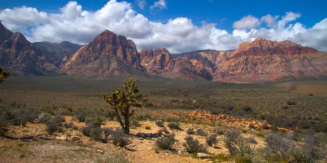 Las Vegas Red Rock Canyon and Seven Magic Mountains Tour - Image 2