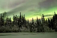 Fairbanks Arctic Circle Northern Lights Tour thumbnail 6