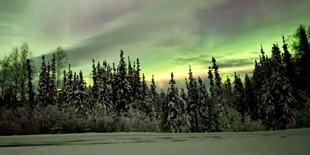Fairbanks Arctic Circle Northern Lights Tour - Image 6