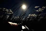 Amelia Island Full Moon Paddle thumbnail 2