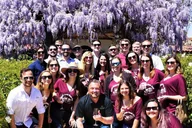 Temecula Wine Tour with Local Pick-up thumbnail 5