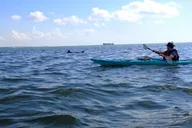 Galveston SS Selma Kayak Tour thumbnail 6