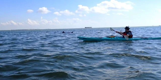 Galveston SS Selma Kayak Tour - Image 6