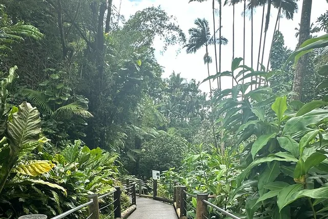 Hawaii Sightseeing Tour - Image 6