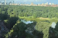 New York Central Park Movie Locations Pedicab Tour thumbnail 4