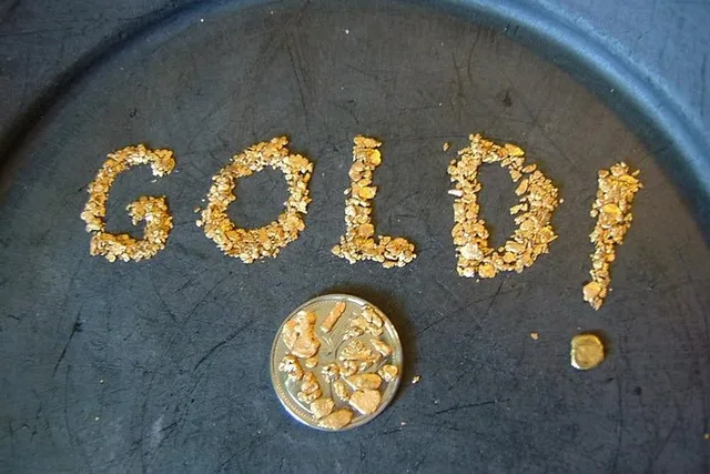 Anchorage Gold Panning Self-Guided Tour - Image 1