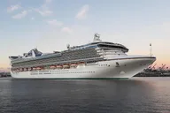 Los Angeles Private Transfer: Cruise Center and Hotels thumbnail 3