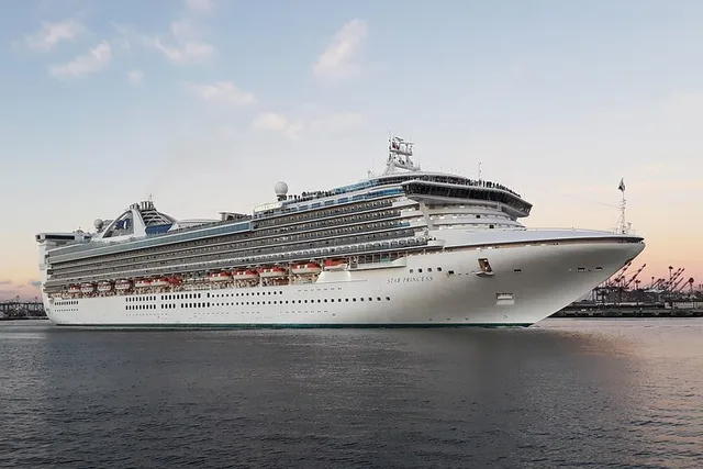 Los Angeles Private Transfer: Cruise Center and Hotels - Image 3
