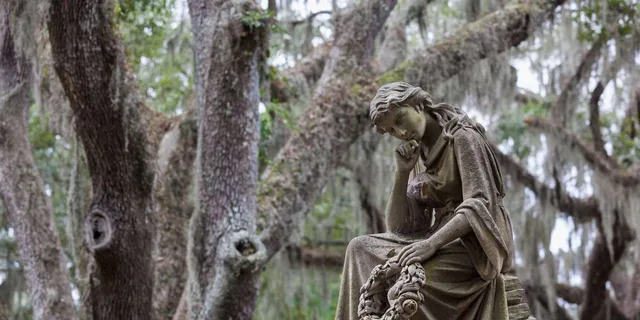 Savannah Tour Pass with 30+ Attractions - Image 5