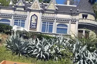 Hollywood and Beverly Hills Tour thumbnail 6