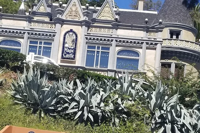 Hollywood and Beverly Hills Tour - Image 6