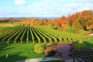 Traverse City Winery or Brewery Tour thumbnail 6