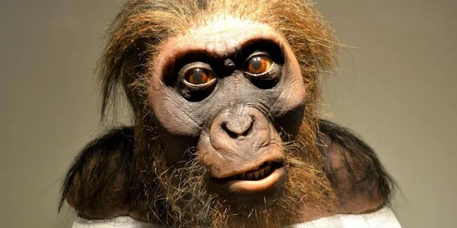 Houston Museum of Natural Science Digital Tour - Image 6