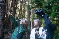 Kailua-Kona Birding Tour in Cloud Forest 2 hr thumbnail 1