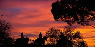 Los Angeles Hollywood Hills Horseback Ride