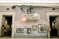 Buffalo Museum of Science Admission Ticket thumbnail 6