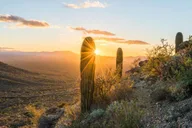 Arizona Great Western Trail Jeep Tour thumbnail 2
