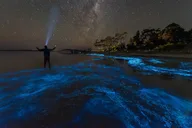 Florida Bioluminescent Kayak and Paddle Board Adventure thumbnail 2