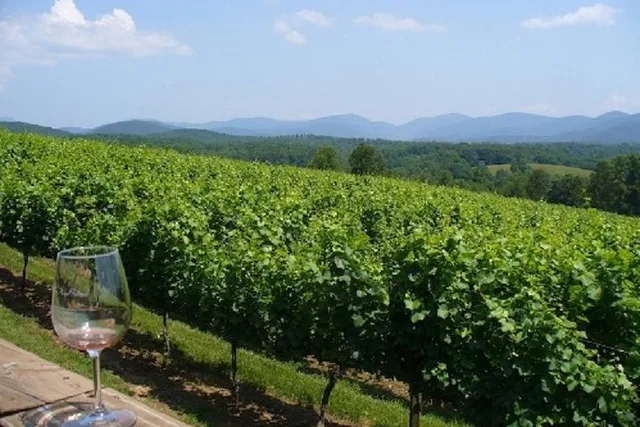 Atlanta Wine Country Tour - Image 4