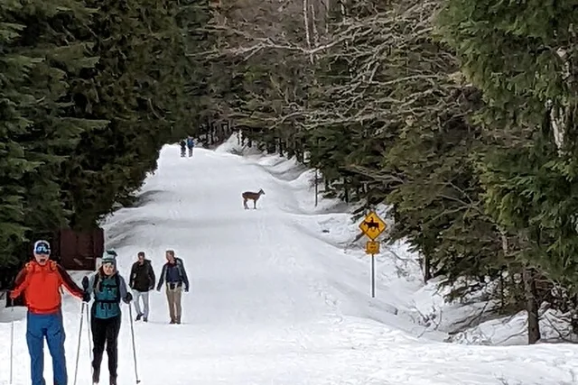Seattle Snoqualmie Pass Ski Shuttle - Image 5