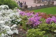 New York Central Park Walking Tour thumbnail 5