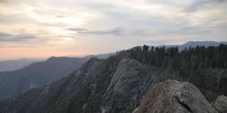 Los Angeles Sequoia and Kings Canyon Private Day Tour