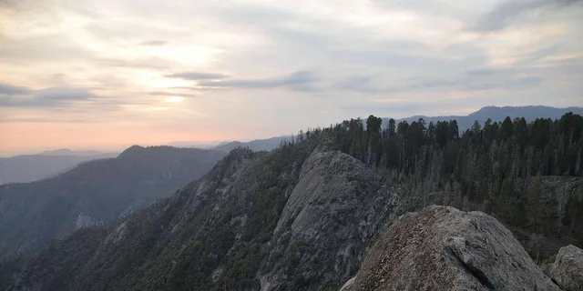 Los Angeles Sequoia and Kings Canyon Private Day Tour - Image 1