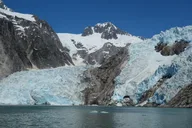 Seward Kenai Fjords National Park Cruise thumbnail 5
