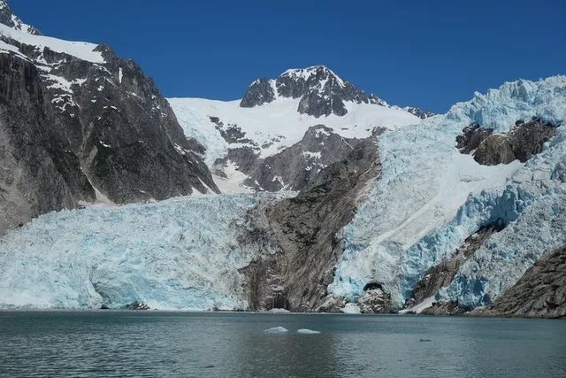 Seward Kenai Fjords National Park Cruise - Image 5