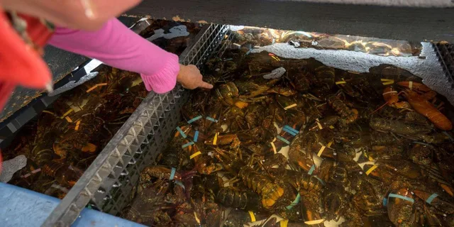 Boston Seafood Tasting and History Tour - Image 6