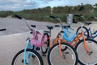 Miami South Beach Bike Rental thumbnail 4