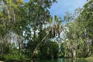 Crystal River Kayak and Paddleboard Rental thumbnail 4
