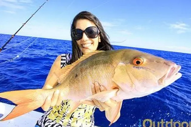 Marathon Reef Fishing Charter - Image 4