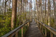 Panama City Beach E-Bike Tour thumbnail 3