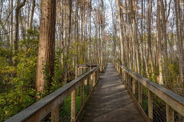 Panama City Beach E-Bike Tour - Image 3