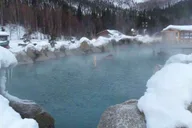 Fairbanks Chena Hot Springs Northern Lights Tour thumbnail 1