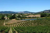 San Francisco Private Wine Tour in XL SUV 8 hr thumbnail 3